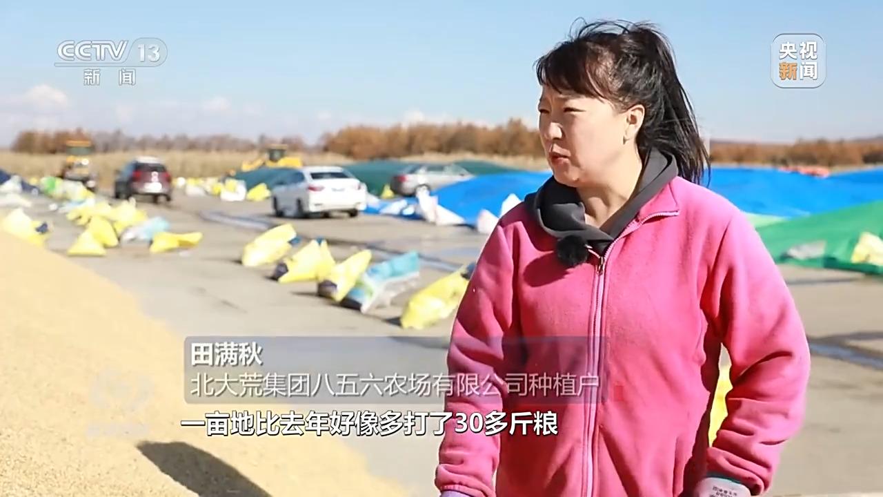 农村高科技种秧视频_秧田里有高秧怎么办_农村种草莓专业户视频
