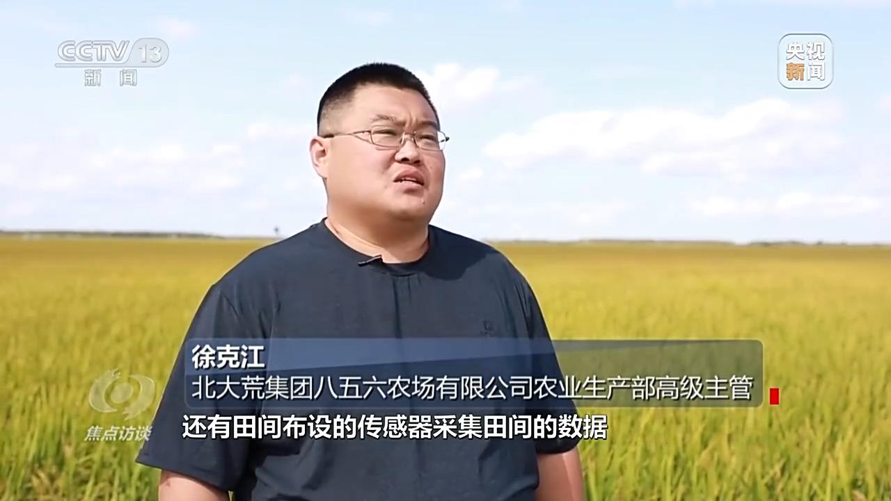 农村种草莓专业户视频_秧田里有高秧怎么办_农村高科技种秧视频