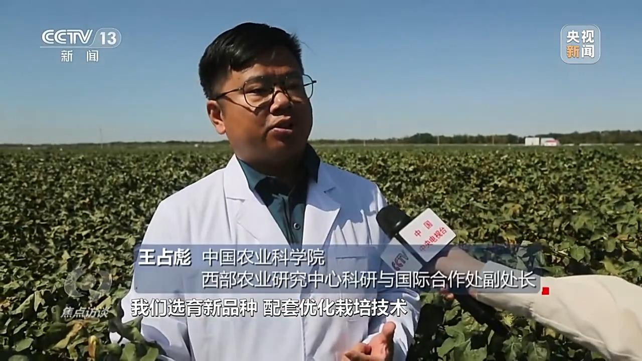 秧田里有高秧怎么办_农村高科技种秧视频_农村种草莓专业户视频