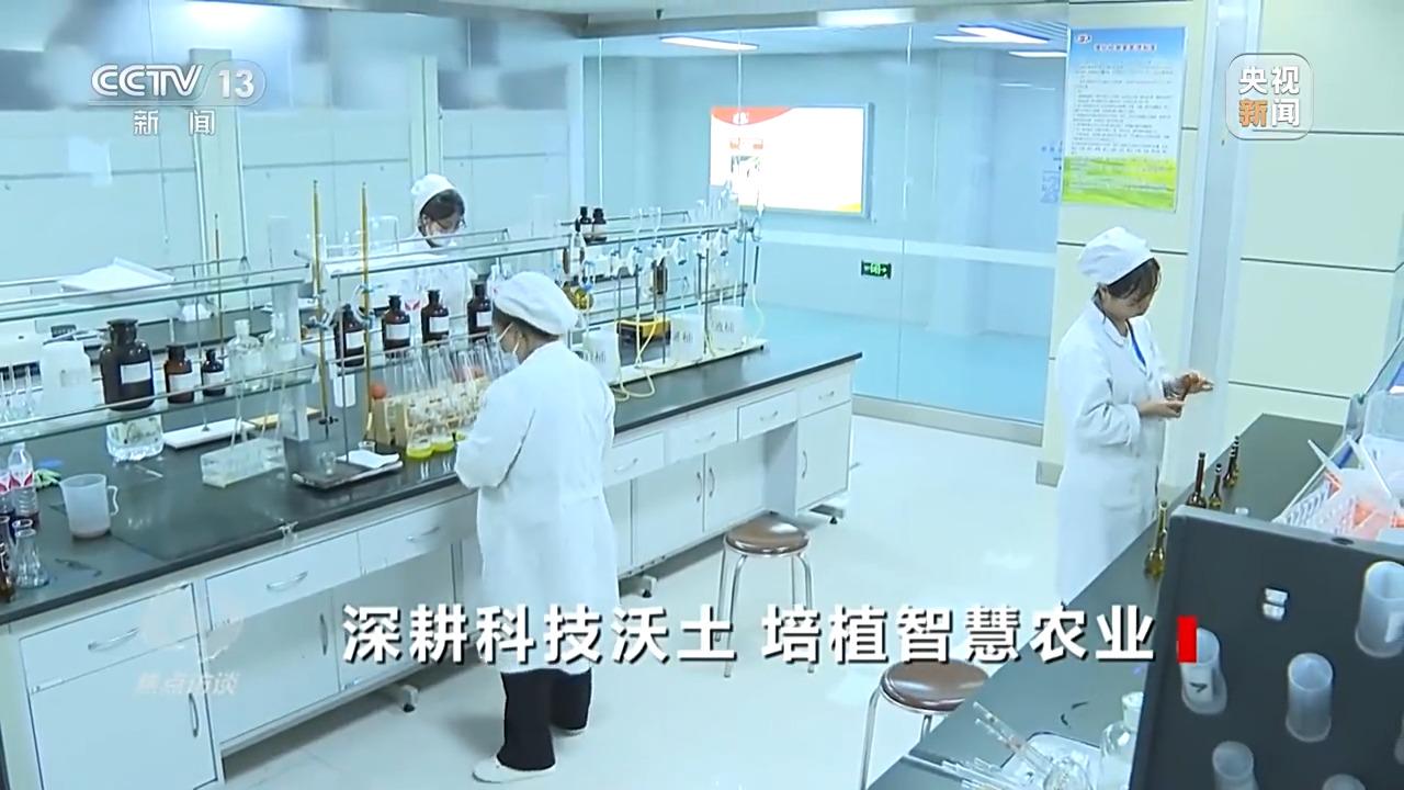 秧田里有高秧怎么办_农村高科技种秧视频_农村种草莓专业户视频