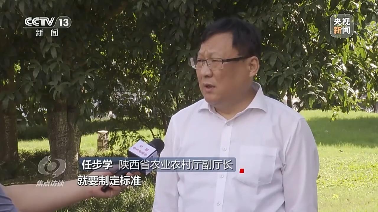 农村种草莓专业户视频_秧田里有高秧怎么办_农村高科技种秧视频