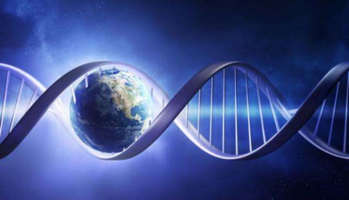 碳基半导体研究材料_半导体碳基研究材料有哪些_半导体碳基研究材料是什么