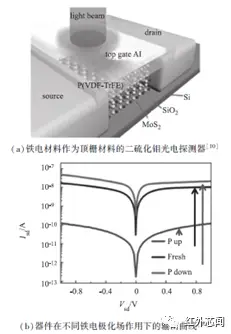 半导体进展二维研究材料是什么_二维半导体材料的研究进展_二维半导体材料的未来