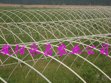 农业科技大棚种植项目_北京农业高科技大棚_北京农业大棚政策