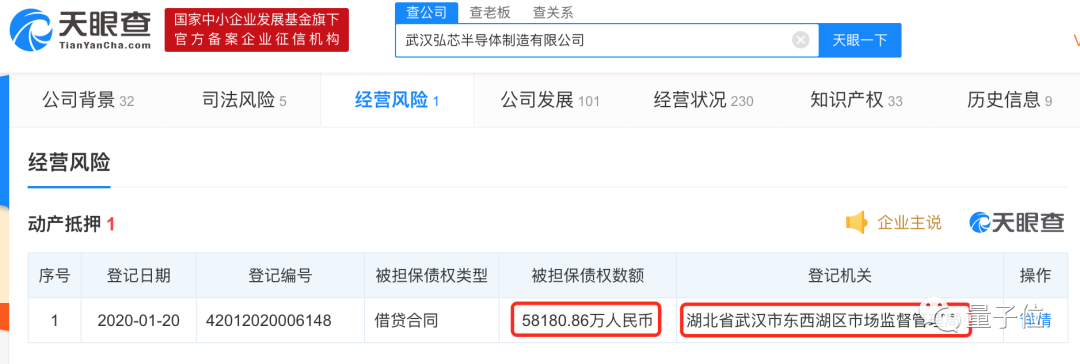 大陆唯一7nm光刻机被抵押！武汉千亿投资的芯片项目官宣停摆