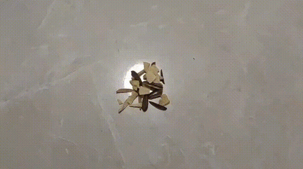 智能机器人坐椅_智能座椅产品介绍_智能座椅的功能有哪些