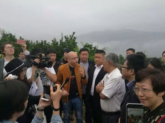 评审奖是什么意思_红点奖评审特点_评审优点