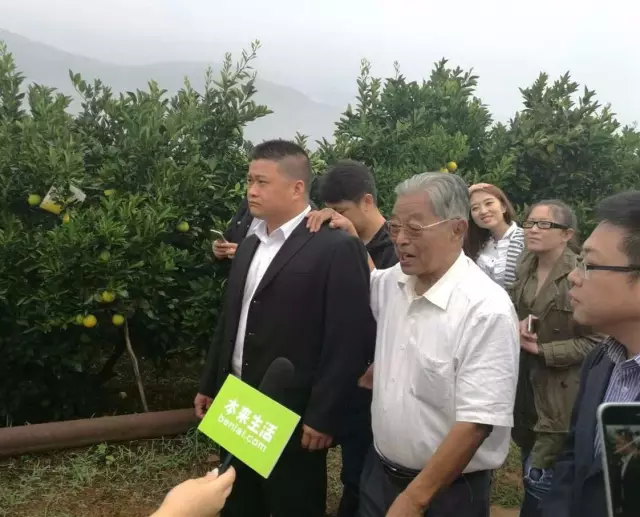 评审奖是什么意思_评审优点_红点奖评审特点